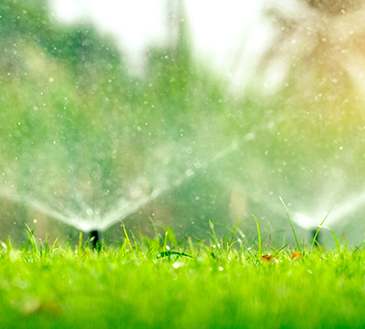 Irrigation