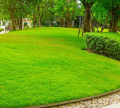 Lawn